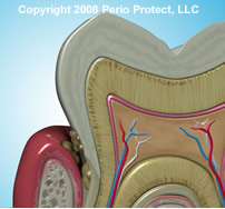 patient-tooth-pic